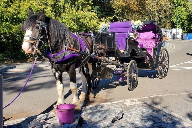 Official Private New York City Central Park Horse Carriage Ride Since 1965™ - Key Highlights You’ll Feel Right Away