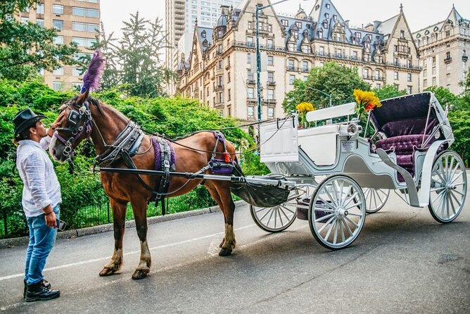 Official Private New York City Central Park Horse Carriage Ride Since 1965™ - What 40 Minutes Really Means in Central Park