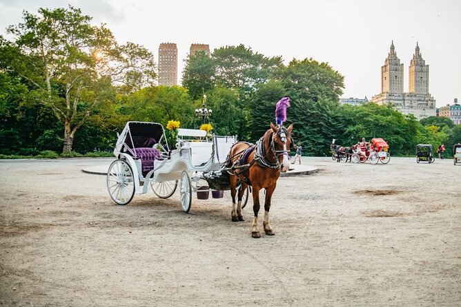 Official Private New York City Central Park Horse Carriage Ride Since 1965™ - Bethesda Fountain and Cherry Hill: Short Walks That Pay Off