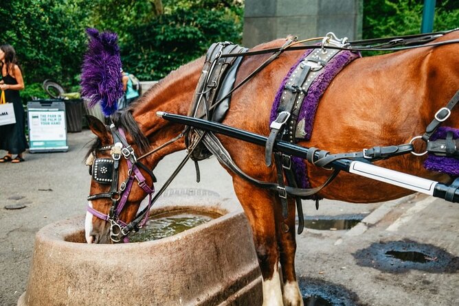 Official Private New York City Central Park Horse Carriage Ride Since 1965™ - Pinebank Arch, Columbus Circle, and Heckscher Playground Details