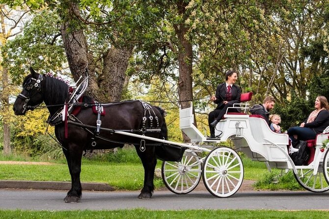 Official Private NYC Central Park Horse Carriage Ride Since 1970™ - A Private Central Park Horse Ride That Moves at Human Speed