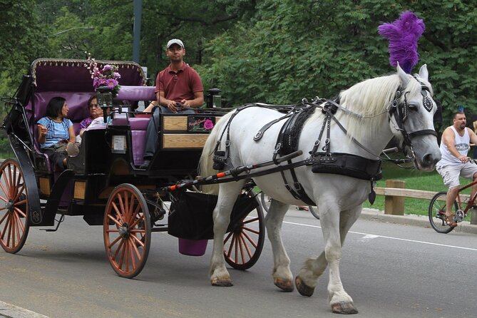 Official Private NYC Central Park Horse Carriage Ride Since 1970™ - Comfort on Cold, Windy Days: Blankets, Carriages, and Real Expectations