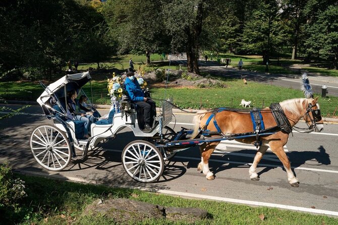 Official Private NYC Central Park Horse Carriage Ride Since 1970™ - Photo Stops: Getting Good Shots Without Playing Photographer All Day