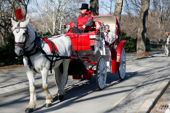 Official Private NYC Central Park Horse Carriage Ride Since 1970™ - Guides, Communication, and the Small Stuff That Matters