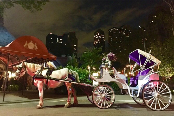 Official Private NYC Central Park Horse Carriage Ride Since 1970™ - What Kind of Trip This Fits Best