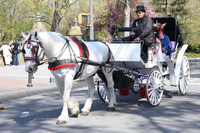 Official Private NYC Central Park Horse Carriage Ride Since 1970™ - Where You Meet at 200 Central Park S (and How to Not Stress)