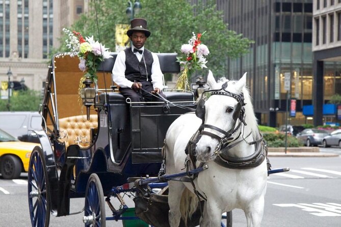 Official Private NYC CentralPark Horse Carriage Ride Since 1972 - Why this private Central Park carriage beats the group crush