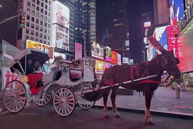Official Private NYC CentralPark Horse Carriage Ride Since 1972 - From Wollman Rink area to Cherry Hill: what you’ll see from the carriage seat