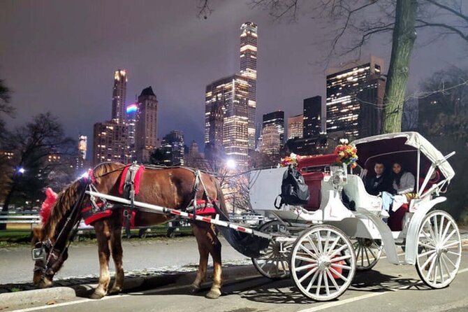 Official Private NYC CentralPark Horse Carriage Ride Since 1972 - Tavern on the Green, Columbus Circle, and the ride’s final stretch