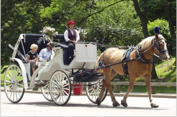 Official Private NYC CentralPark Horse Carriage Ride Since 1972 - Family comfort: capacity, blanket, and making it work with kids