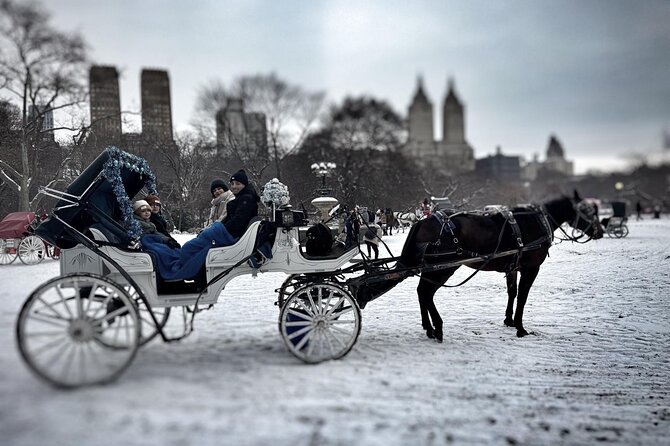 Official Private NYC CentralPark Horse Carriage Ride Since 1972 - Guides and the value of a calm, story-driven ride