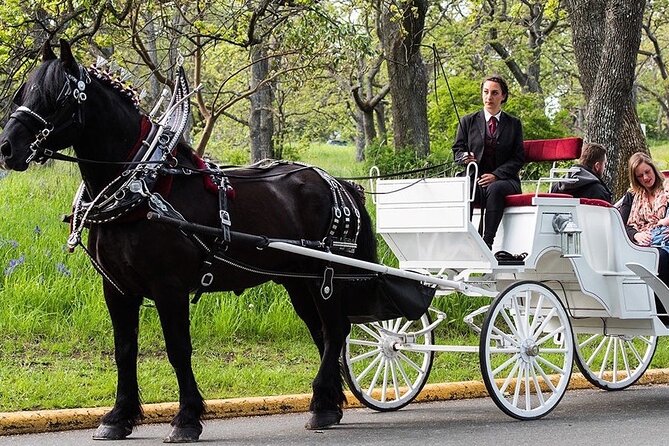 Official Private NYC CentralPark Horse Carriage Ride Since 1972 - Getting on board: meet point, timing, and what 40 minutes feels like