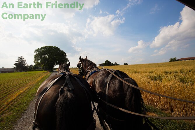 Philadelphia and Amish Country, 1-Day Tour from NYC - Philadelphia in a hurry: Liberty Bell Center to Congress Hall sights