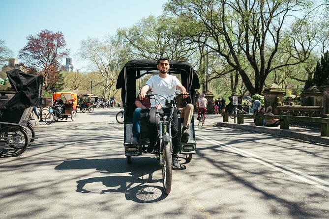 Private Central Park Guided Pedicab Tour - Stop 1: Bethesda Fountain for Instant Park Scale