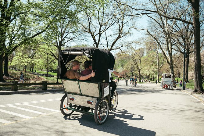 Private Central Park Guided Pedicab Tour - Stop 5: Belvedere Castle and Panoramic City Views