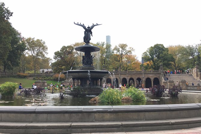 Private Central Park Guided Tour by Pedicab - Rain or Shine: What Weather Looks Like in a Pedicab