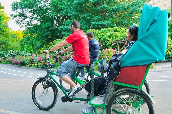 Private Central Park Pedicab Tour - Shakespeare Garden and Belvedere Castle: the view and the walk