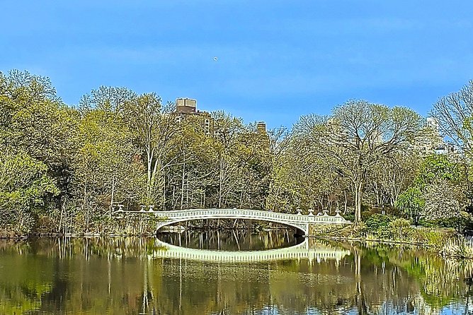 Private Guided Tour of Central Park - The 2.5-hour walk: what you can realistically expect to see