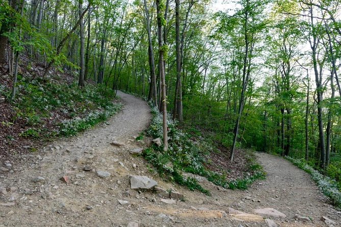 Private Hike/Wineries/Walkway Over the Hudson/1 night Hotel - Nostrano Vineyards: tastings with views, lunch energy, and wine slushies