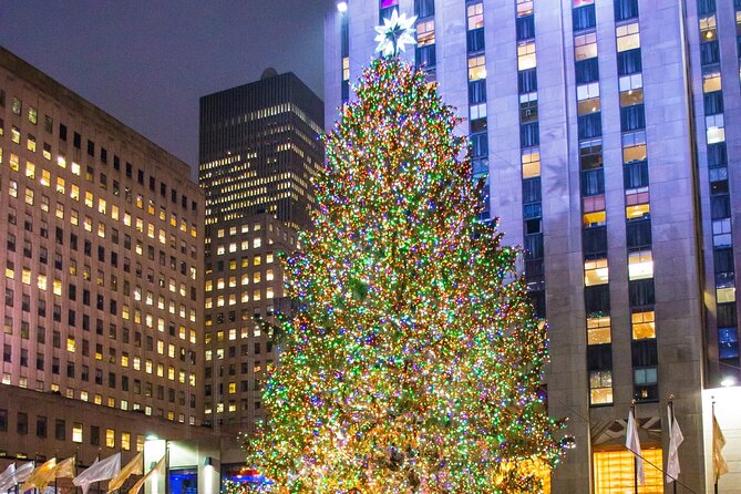 Private New York Christmas Tour with Driver and Guide - Customization That Actually Helps: From Shopping to Lights
