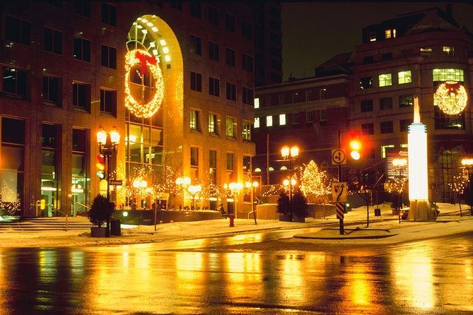 Private New York Christmas Tour with Driver and Guide - Pickup, Timing, and the Real Winter Logistics
