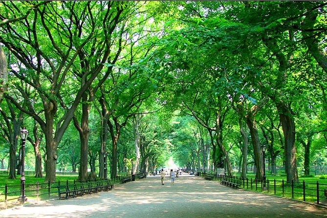Private New York City Walking Tour: Central Park History and Hidden Secrets - Why this private Central Park walk beats a DIY slog