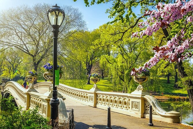 Private New York City Walking Tour: Central Park History and Hidden Secrets - Gapstow Bridge: viewpoint payoff without a long detour