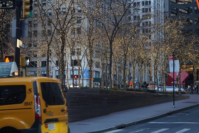Private New York Downtown Highlights Half Day Tour - A downtown plan that actually fits 4 hours
