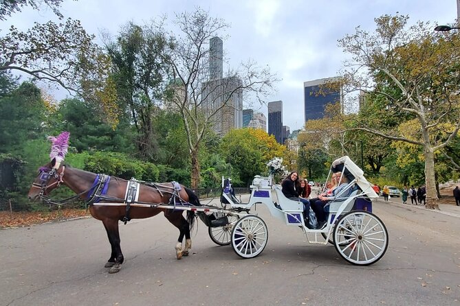 Private NYC Central Park Horse Carriage Ride (Guided) Since 1965™ - Key things to notice before you book