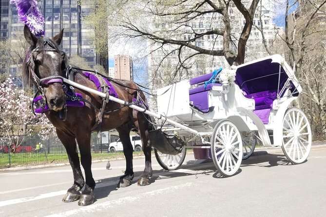 Private NYC Central Park Horse Carriage Ride (Guided) Since 1965™ - The ride vibe: how you’ll actually experience the park