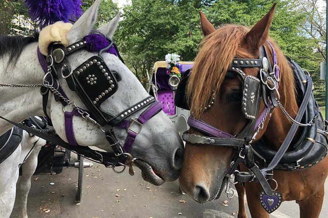 Private NYC Central Park Horse Carriage Ride (Guided) Since 1965™ - The Carousel at 1908 scale: 57 horses, zero rush