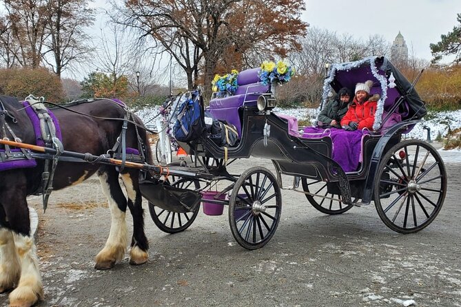 Private NYC Central Park Horse Carriage Ride (Guided) Since 1965™ - The Mall under American elms: the quiet wow factor