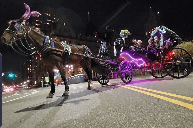 Private NYC Central Park Horse Carriage Ride (Guided) Since 1965™ - Balto: a bronze reminder that stories live in the park
