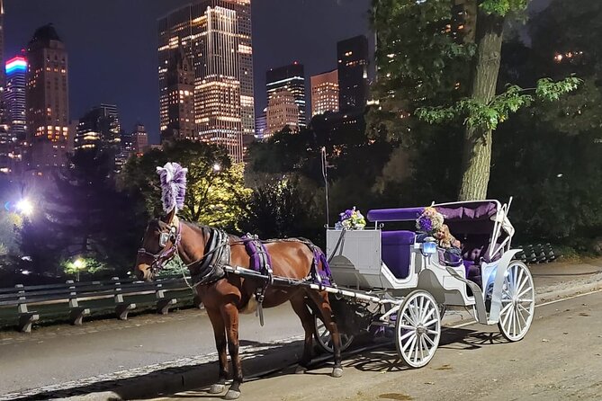 Private NYC Central Park Horse Carriage Ride (Guided) Since 1965™ - Rumsey Playfield: culture, not just landscaping