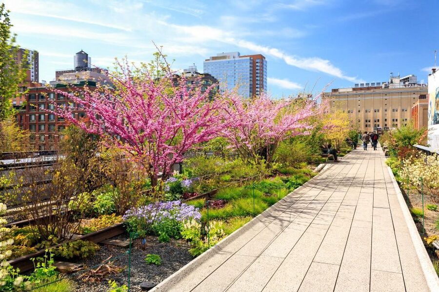 Private Tour of High Line, Chelsea, Hudson Yards and Edge - Private Transfers: Save Time, Reduce Stress