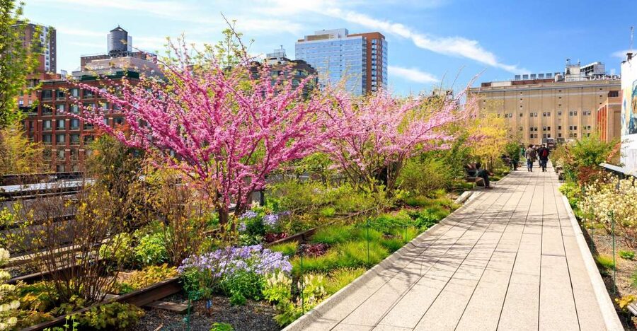 Private Tour of High Line, Chelsea, Hudson Yards and Edge - Languages, Group Size, and the Guide Quality Factor