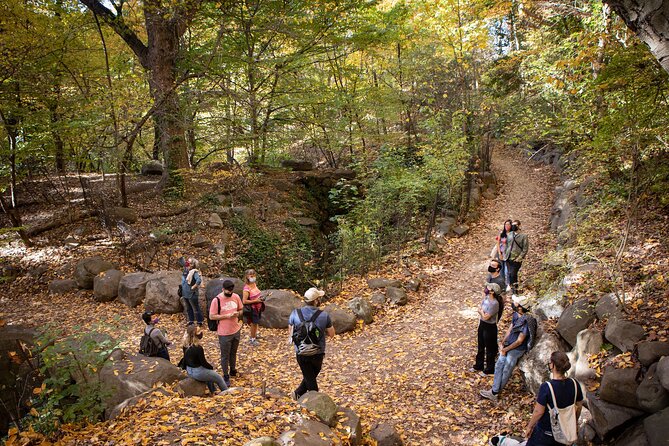 Prospect Park Tour - Prospect Park on foot: forest, meadow, and water features you can actually spot