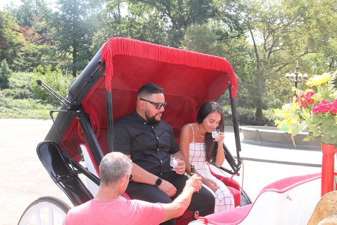 Romantic Proposal Carriage Tour in Central Park - Meeting at José Julián Martí Statue and Getting Into the Right Headspace