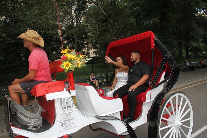Romantic Proposal Carriage Tour in Central Park - Stop 2: Bow Bridge Over The Lake, With That Famous Ironwork Detail
