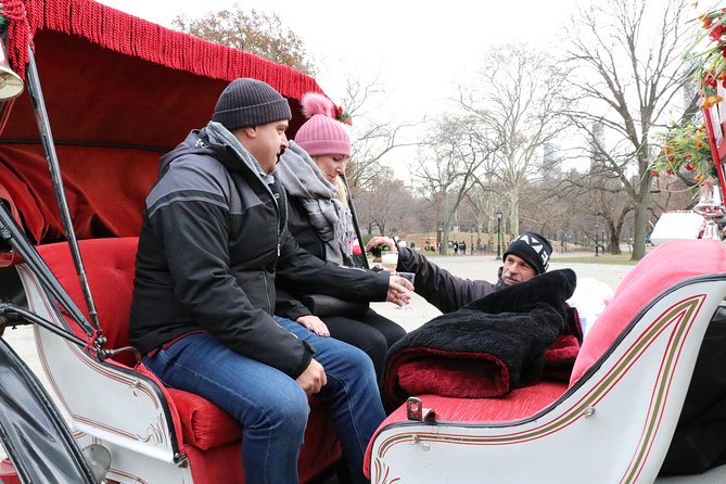 Romantic Proposal Carriage Tour in Central Park - Stop 3: Bethesda Fountain and the Angel of the Waters Moment