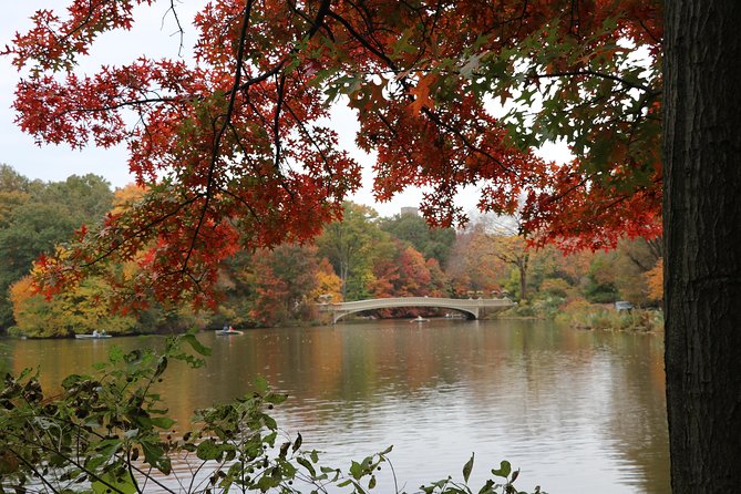 Romantic Proposal Carriage Tour in Central Park - Price and Value: Is $415 Per Carriage Worth It?