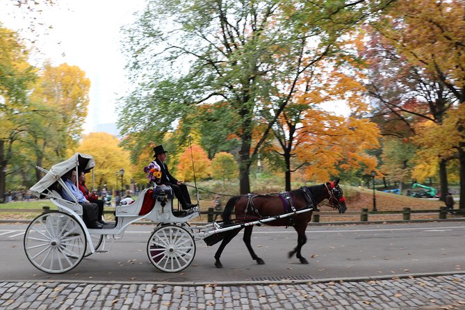 Romantic Proposal Carriage Tour in Central Park - Timing, Weather, and How to Make the Moment Land