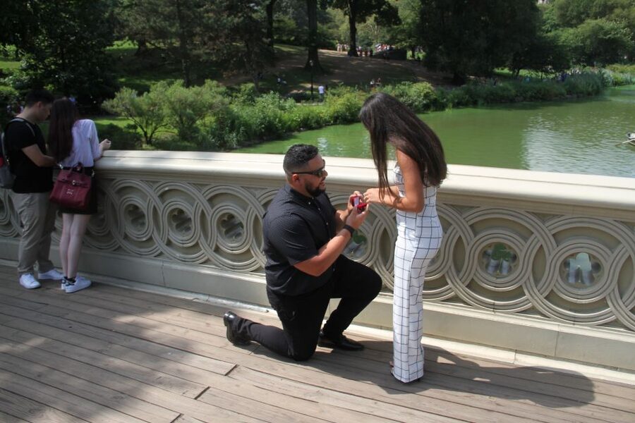 Romantic/Proposal Central Park Carriage Tour Up to 4 Adults - Why a Central Park proposal carriage ride feels different