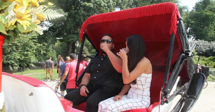Romantic/Proposal Central Park Carriage Tour Up to 4 Adults - Small but important tips so the day goes smoothly