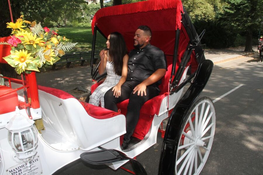 Romantic/Proposal Central Park Carriage Tour Up to 4 Adults - Where you start: the Martí statue meeting point
