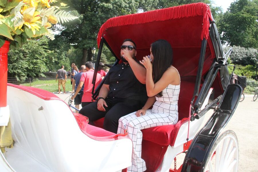 Romantic/Proposal Central Park Carriage Tour Up to 4 Adults - The proposal stops: Bow Bridge and Bethesda Fountain/Terrace