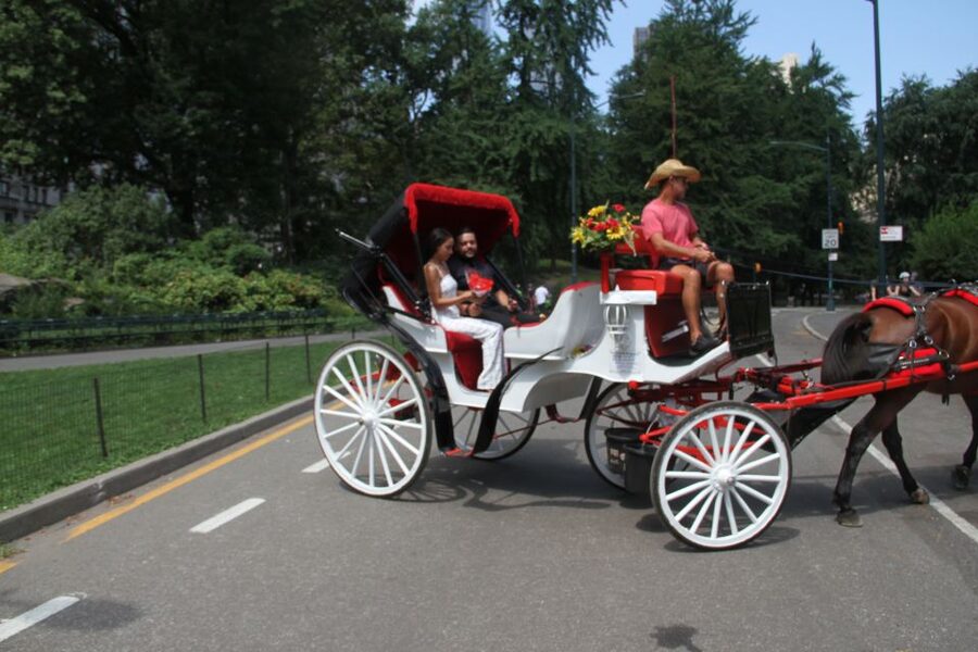 Romantic/Proposal Central Park Carriage Tour Up to 4 Adults - The option that upgrades everything: adding a photographer