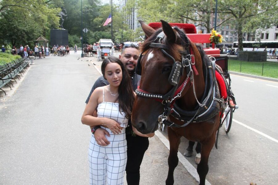 Romantic/Proposal Central Park Carriage Tour Up to 4 Adults - Your 50-minute flow: what happens after you hop in