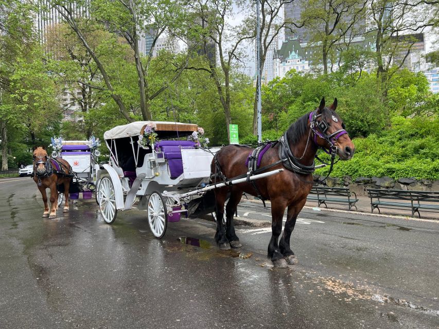 Royal Carriage Ride in Central Park NYC - Who This Private Carriage Ride Suits Best