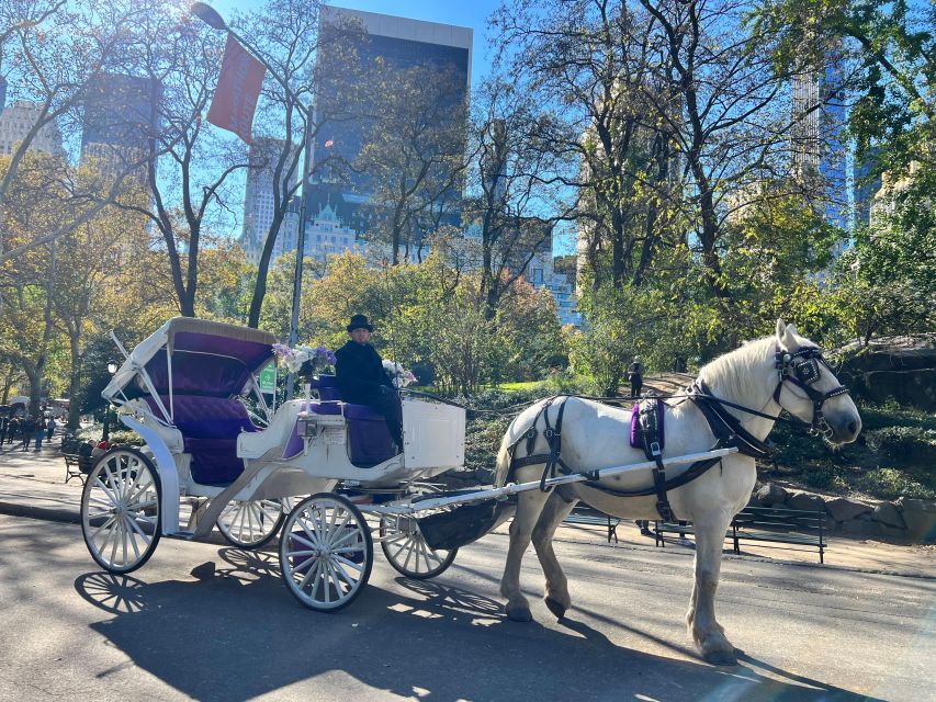 Royal Carriage Ride in Central Park NYC - Getting There at 22 East Dr: The Easy Meeting Point Move